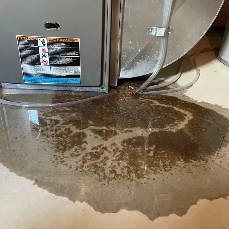 Appliance Leak Cleanup in Polk County, MO